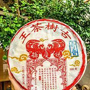 2006 Qixiang