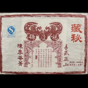 1999 TsangMi